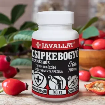 https://menta.test.w2d.hu/media_ws/10011/2074/idx/javallat-csipkebogyo-termeshus-kapszula-50db.webp
