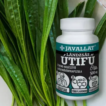 https://menta.test.w2d.hu/media_ws/10011/2096/idx/javallat-landzsas-utifu-level-kapszula-50db.webp