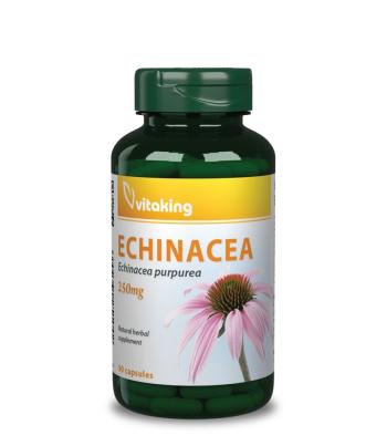 https://menta.test.w2d.hu/media_ws/10015/2024/idx/vitaking-echinacea-400-mg-100-db.jpg