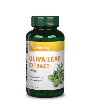 https://menta.test.w2d.hu/media_ws/10015/2050/idx/vitaking-oliva-leaf-oliva-level-kiv-60db-vitaking-oliva-leaf-500mg-oliva-level-60db.jpg