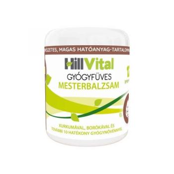 https://menta.test.w2d.hu/media_ws/10133/2044/idx/hillvital-gyogyfuves-mesterbalzsam-50-ml.jpg