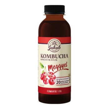 https://menta.test.w2d.hu/media_ws/10141/2066/idx/jakab-kombucha-koncentratum-meggyel-500-ml.jpg