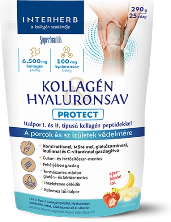 https://menta.test.w2d.hu/media_ws/10158/2040/idx/interherb-kollagen-amp-hyaluronsav-protect-italpor-eper-banan-izu-290g.png